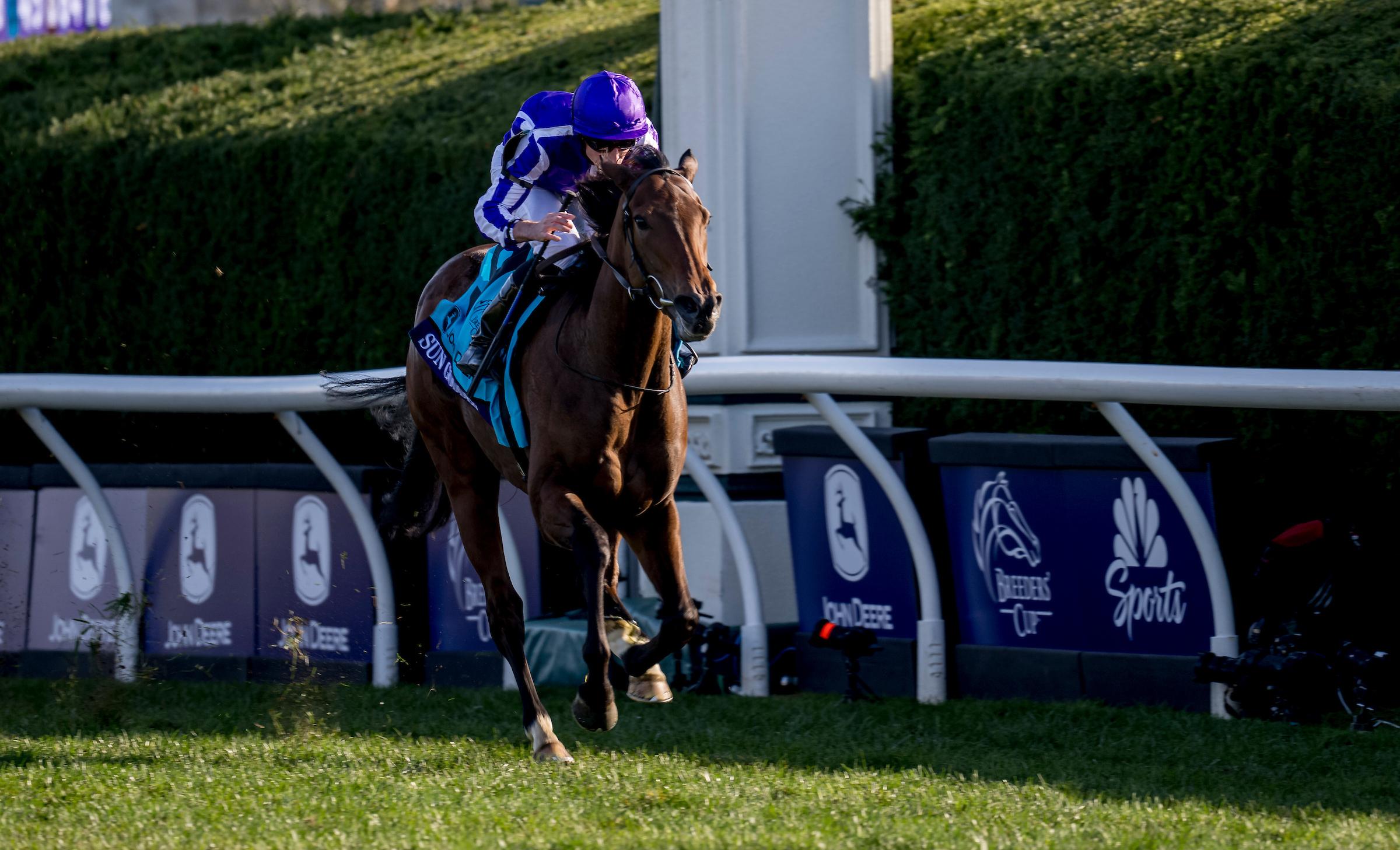 Sun Goddess, Breeders' Cup Juvenile Fillies Turf, Keeneland, horse racing, America's Best Racing, ABR Sun Goddess, Breeders' Cup Juvenile Fillies Turf, Keeneland, horse racing, America's Best Racing, ABR